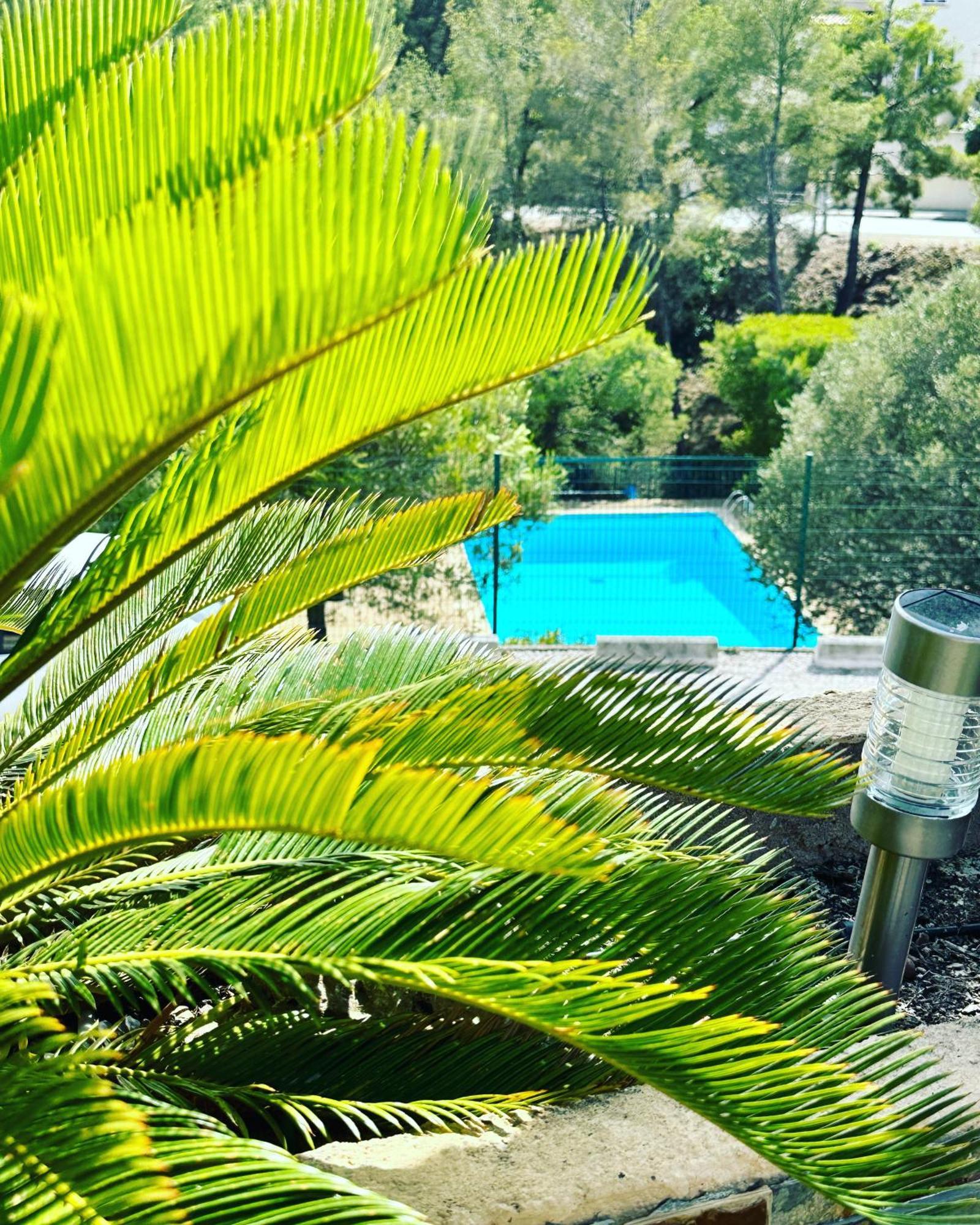 Vuemer Bandol - Grande Terrasse De 45M2 Vue Mer Piscine Parking Екстер'єр фото